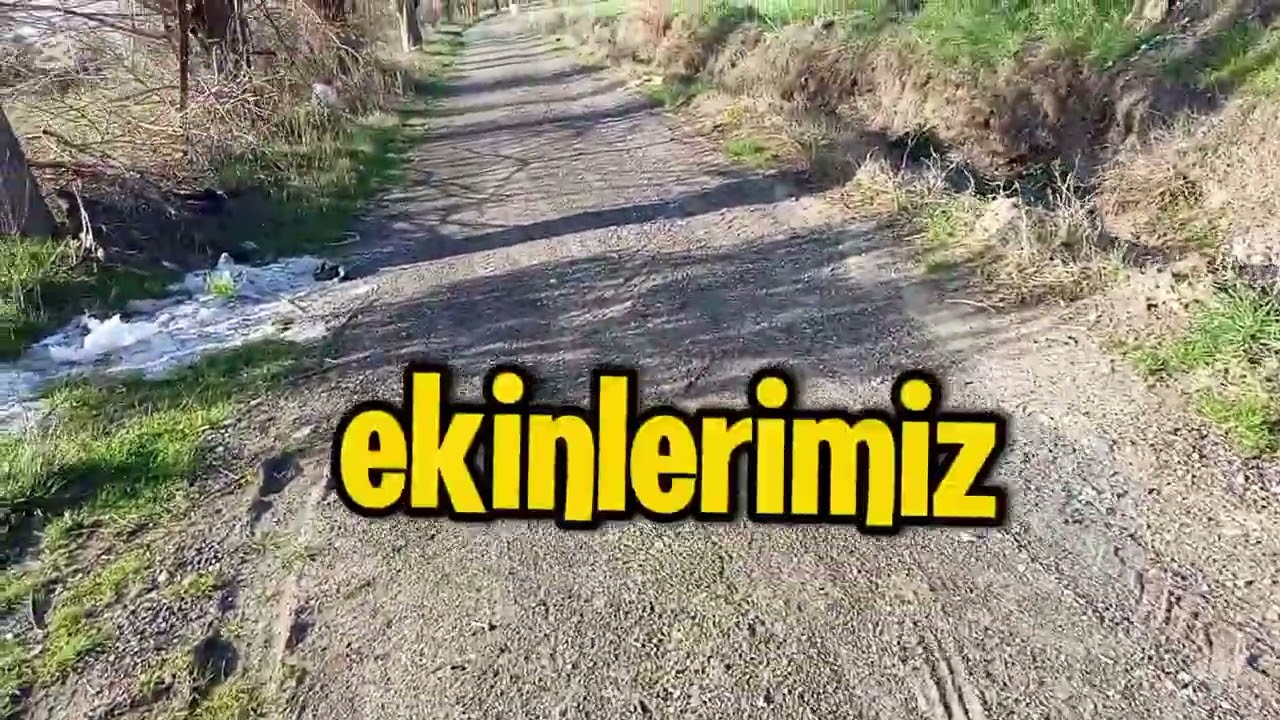 Doğada Keçi Yayarken Bayanlar Hakkında Konuştum