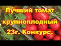 Обзор за лето 23г лучшего крупноплодного томата Сластена из 4 тестируемых. Конкурс на семена