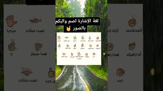 تعلم لغة الاشارة للصم والبكم