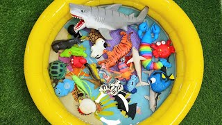 Sea Animals For kids| Sea creatures names and facts| Sea animal toys