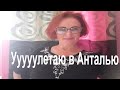 Аутфит – черная коллекция. Купила билет в Анталью.