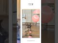 USB Rechargeable Automatic Rolling Smart Direction Changing Round Cat Ball Interactive Trailing E...