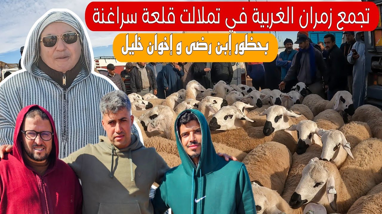 تجمع زمران الغربية تملالت قلعة سراغنة بحضور كبار الكسابة إخوان خليل و عبد الحق ابن رضى