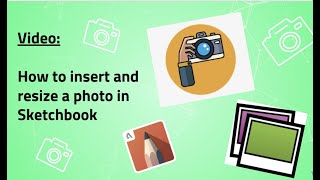 How To Insert and Resize a Photo in Sketchbook screenshot 3