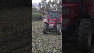 Pioneer 30 b 74
