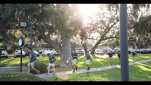 What Makes KCS So Special?