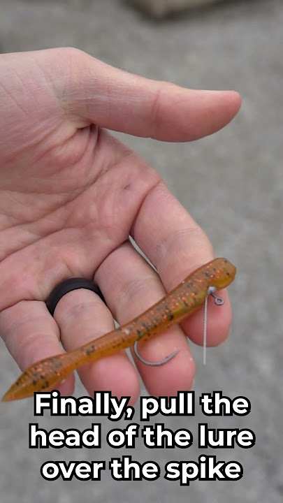 The Hover Rig Is Now The Most Popular Lure In America Right Now