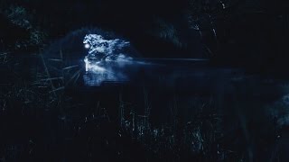『 BEYOND THE DREAM 』 presented by 有馬記念