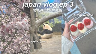 JAPAN VLOG EP 3 🍡best foods to eat at tsukiji market, ueno zoo, go karting in tokyo, ginza shopping