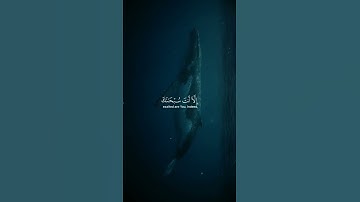 وذا النون اذ ذهب مغاضبا بلال دربالي || قراءة خاشعة و جميلة للقارئ الشيخ بلال دربالي ||حالات إسلامية