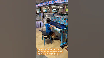 2025年8月24日 ストリートピアノでGet Wildを弾いてみた 