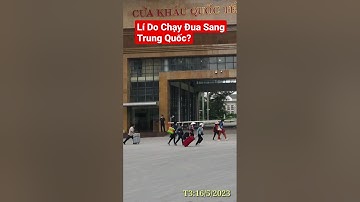 #shorts Chạy Đua Sang Trung Quốc Cửa Khẩu Móng Hải Quan Quá Quen #cửakhẩumóngcái