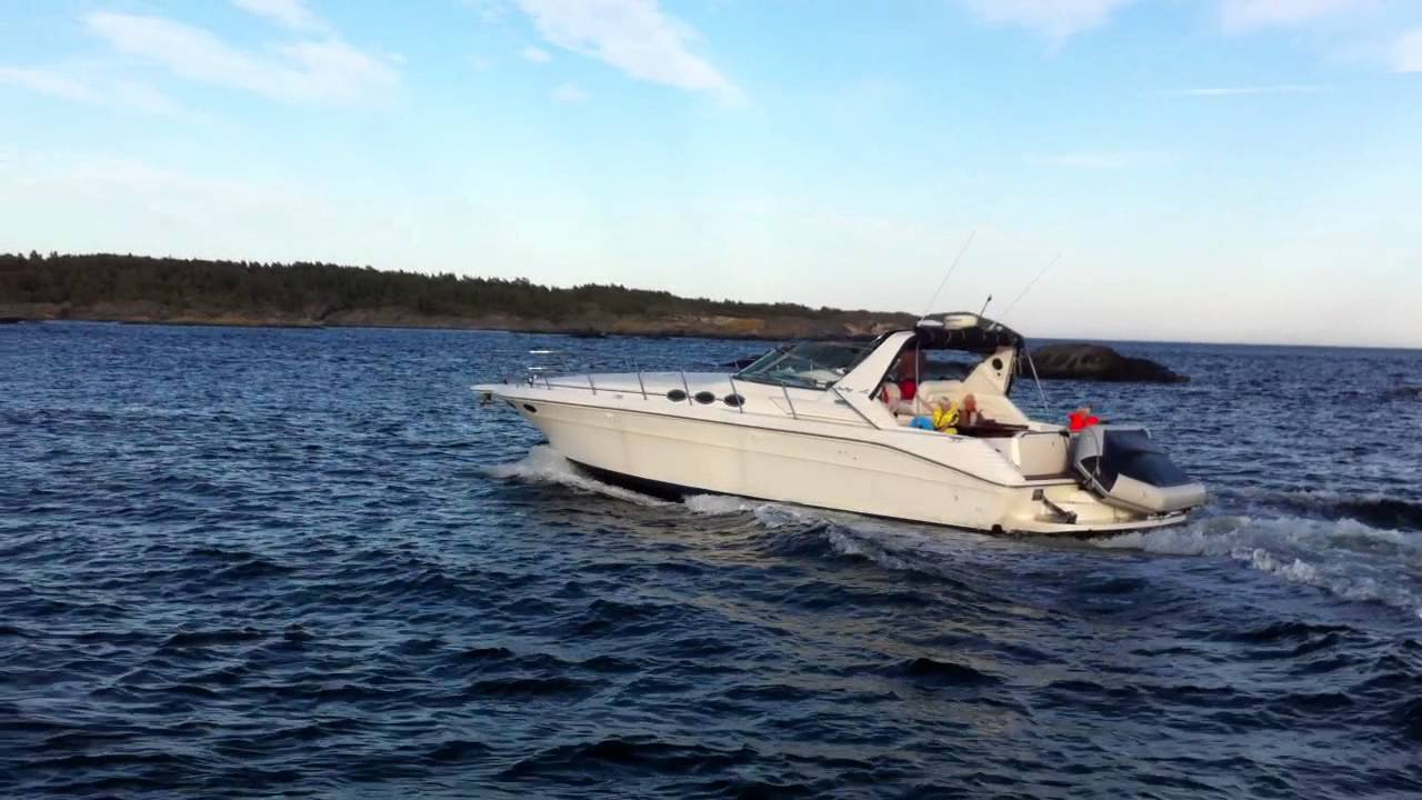 Sea Ray 400 Express Cruiser, part II