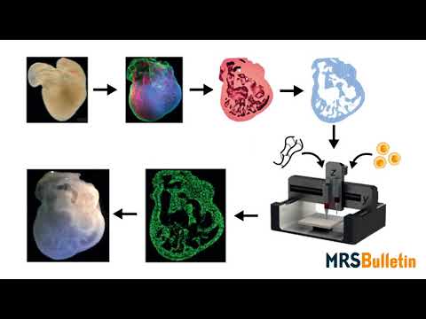 Video: Bioprinting Kože: Budúcnosť Rekonštrukcie Popálenín?