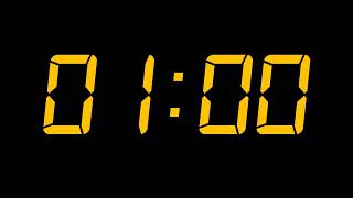 60 Second Countup Timer with Alarm Net Worth