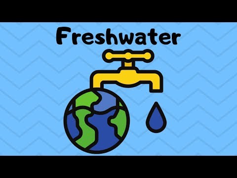 ვიდეო: რომელია დედამიწაზე მტკნარი წყლის ყველაზე უხვი წყარო?