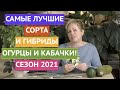 РЕКОМЕНДУЮ! ЛУЧШИЕ СОРТА/ГИБРИДЫ ОГУРЦОВ И КАБАЧКОВ!