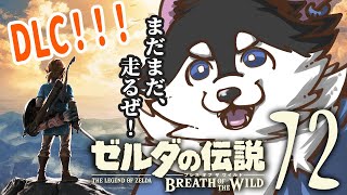 【はじめてのゼルダの伝説】＃72　DLC！DLC！宝盗まれすぎだろ！【BotW】