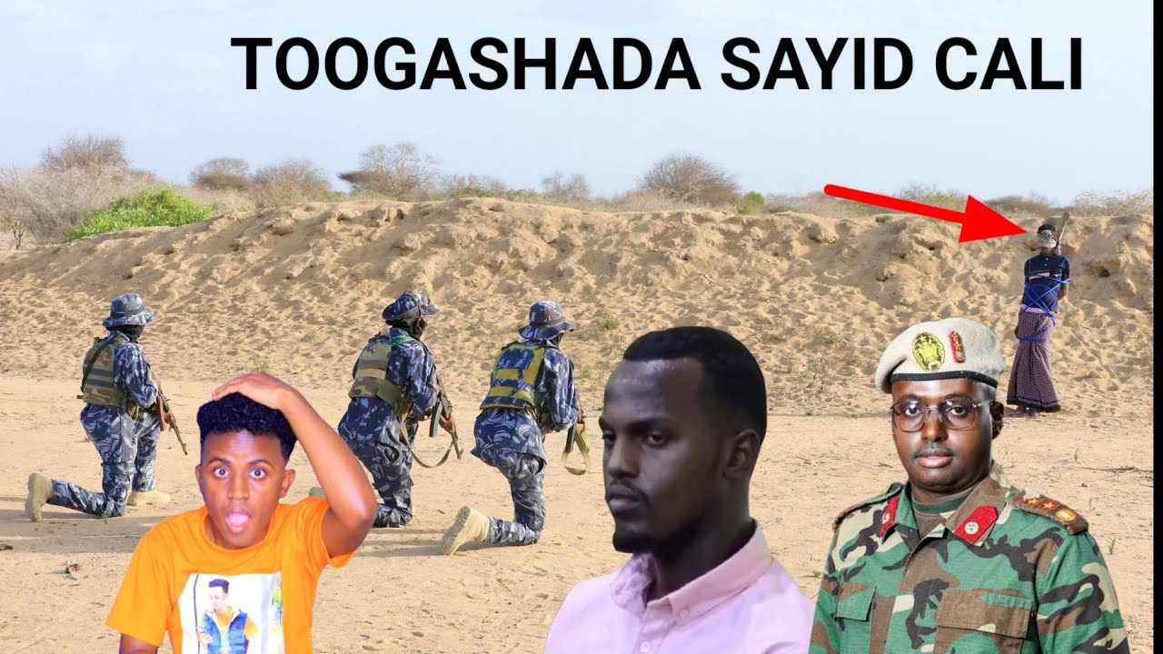 Звук выстрела, слышный во время стрельбы в Саида Али.