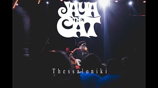 Jaya the cat  | Thessaloniki | Eightball Club