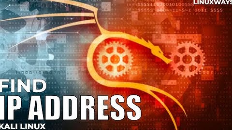 🔎 Hoe vind je het IP-adres van ELKE websitehost | Opdracht in Kali Linux