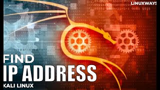 🔎 How to Find IP Address of ANY Website Host | Command in Kali Linux