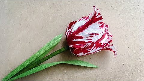 ABC TV | How To Make Parrot Tulips Paper Flower From Crepe Paper - Craft Tutorial