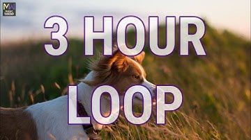 MOVING ON BY WAYNE JONES – MOVING ON★3 HOUR LOOP MUSIC FREE NO COPYRIGHT COUNTRY FOLK AMBIENT CALM