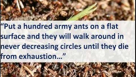 The Wisdom of Crowds