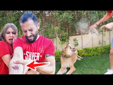 أسد سوبرفاميلي هجم عليي وعضني