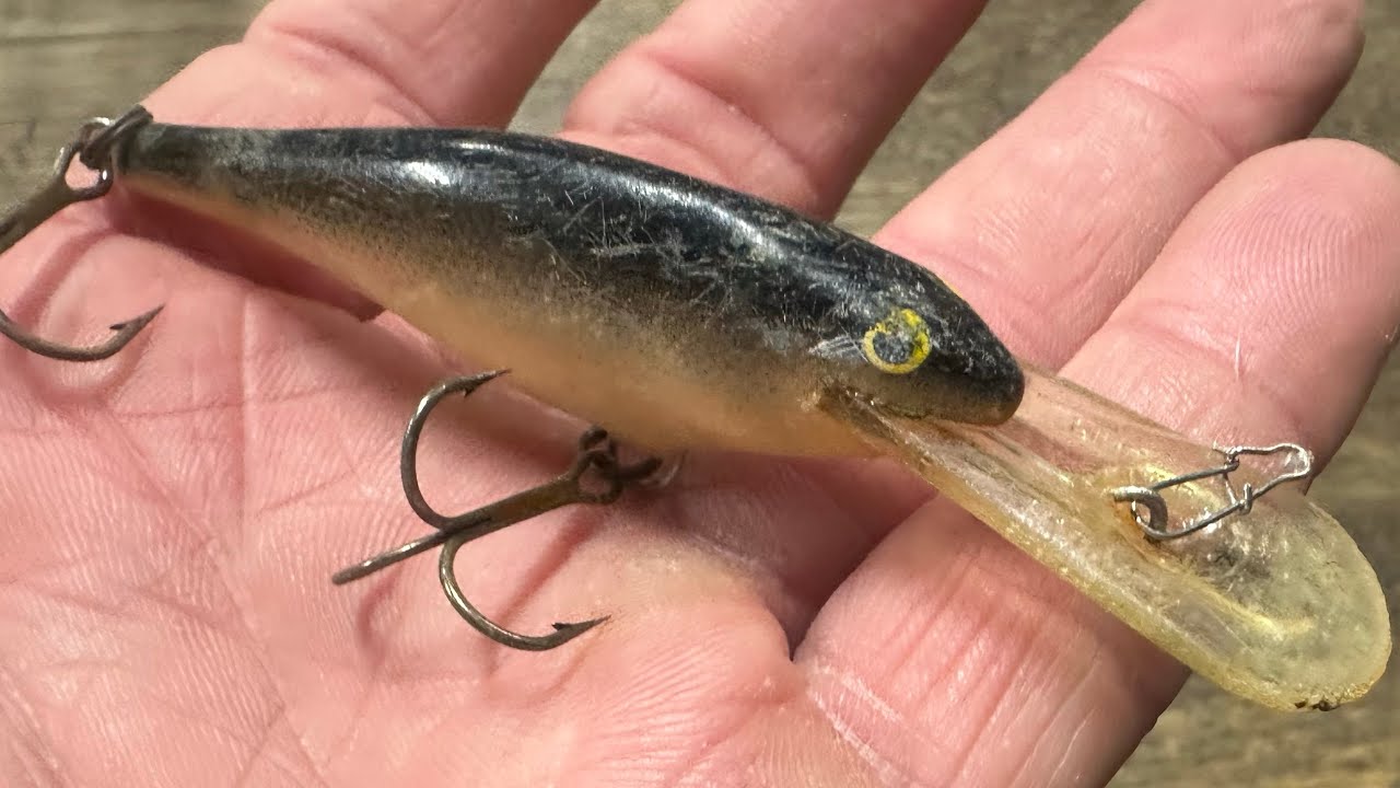 My Secret April Shad Rap Fishing Technique…(After Most Anglers