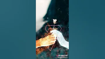 اغنيه لينا حياه بعدين تامر حسنى مدرسه الحب حالات واتس آب 