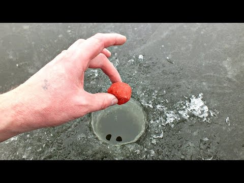 Лучшая прикормка на окуня зимой! Применять в абсолютное безклёвье!