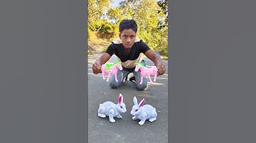4 Animals Remote Control Rabbit And Horse 🐴#shorts