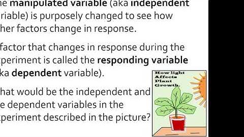 1.3 Thinking like a scientist part 2