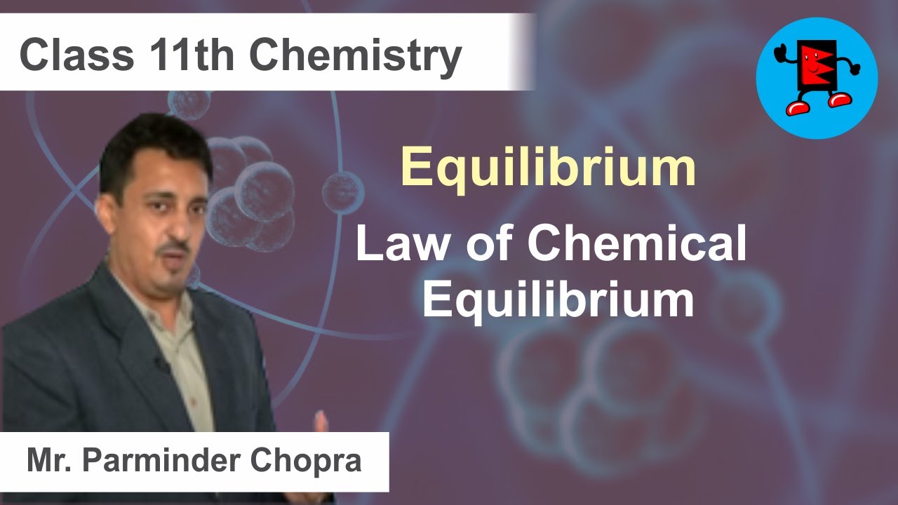 CBSE Class 11 Chemistry Equilibrium Law of Chemical Equilibrium