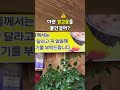 (대구) 살다살다 이렇게 맛있는 돼지수육 처음 먹어봤습니다! [맛있겠다 Yummy]