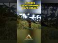 АРК МОБАЙЛ ПРИРУЧЕНИЕ БЕЗ УРОНА ARK ULTIMATE MOBILE EDITION #shorts