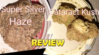 S5 Episode 6 Super Silver Haze + Cateract Kush Strain Review