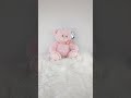 Adorable Plush Toy Collection: Everyone Needs a Soft Companion!