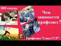 Чем занимается Профсоюз?