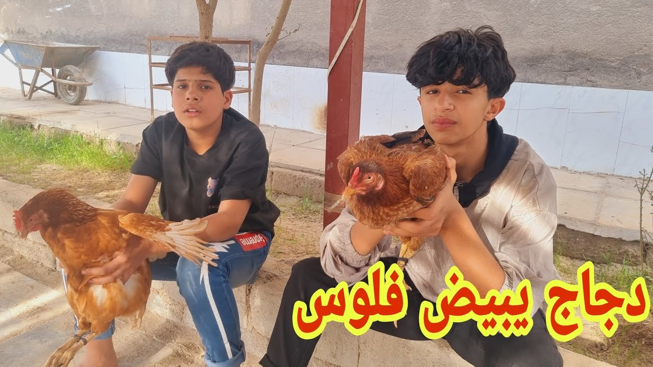 فلم عراقي قصير  بياع الدجاج