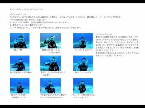 オープンウォーター ダイビング動画 For Web