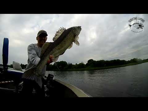 Carsten Lures dirba