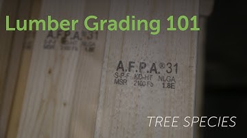 Lumber Grading 101: Tree Species