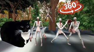 TOCA TOCA Maxwell the cat dances VS SCP  🔥 Who&#39;s better