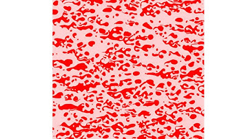 Bubbles breakup and coalesce under viscous fingering