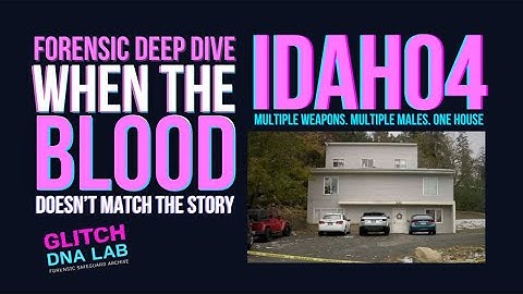 “His DNA Was on the Sheath” – What the Lab Reports Actually Say