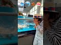 Poor Fish VS Lucky Human-being #shorts #sad #comedy