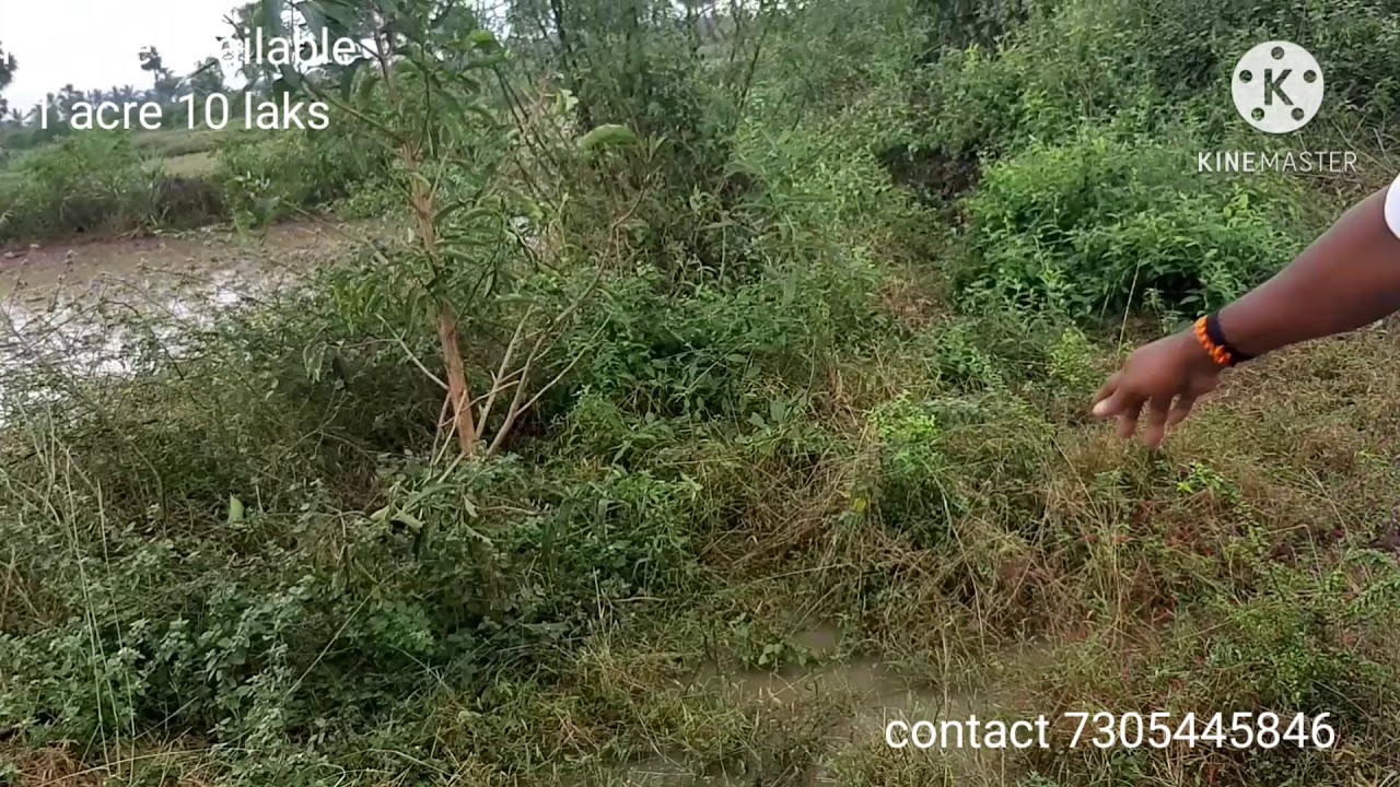 cheap and best farm land in kanchipuram